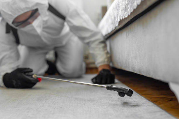 Professional Bed Bug Control technician working in Clinton, MO